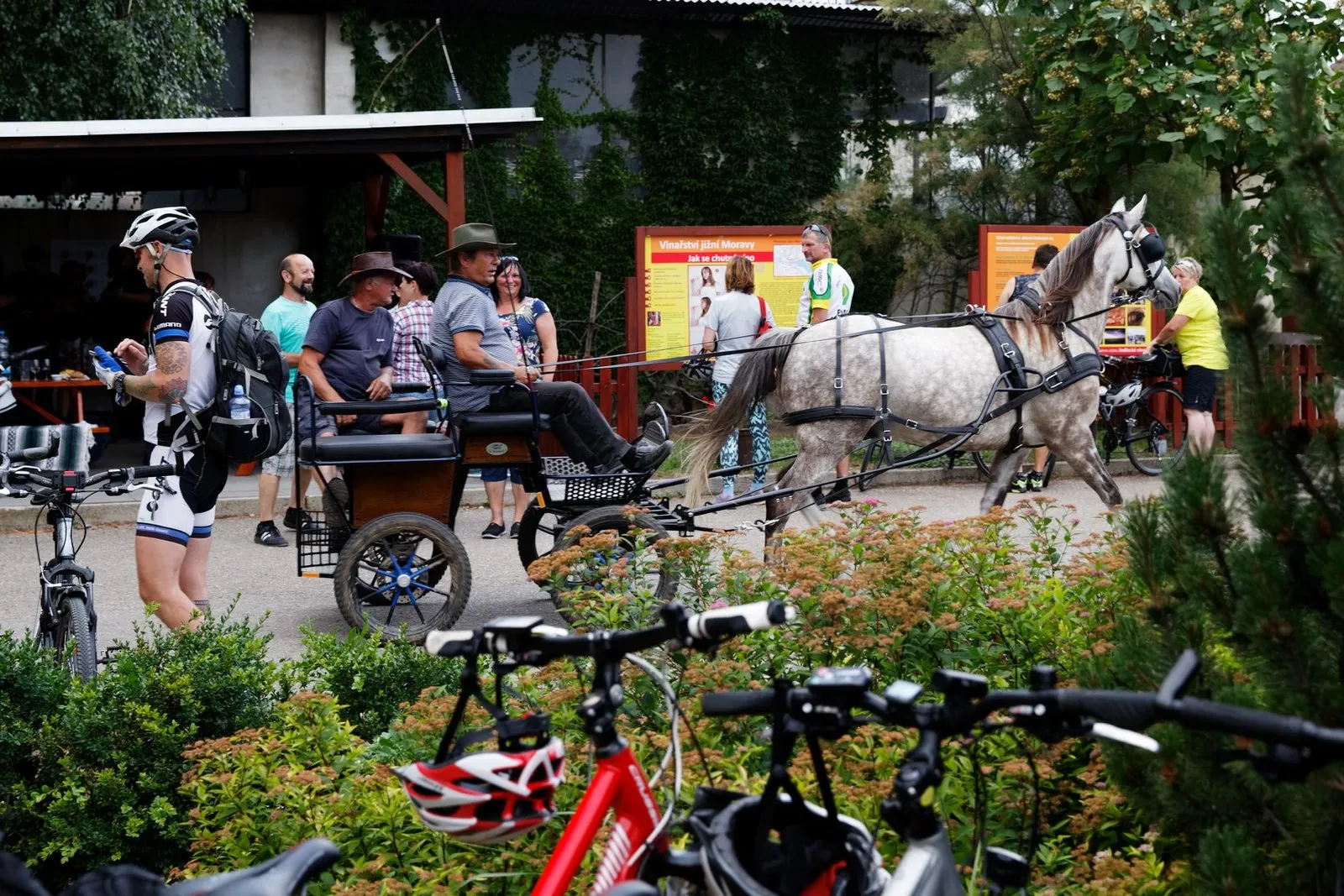 Dav cyklistů na hudebním festivalu