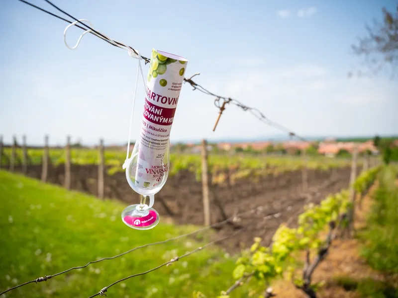 Putování Malovaným krajem