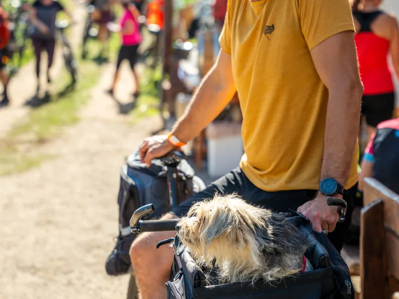 Tour de burčák po vinařských stezkách Znojemska