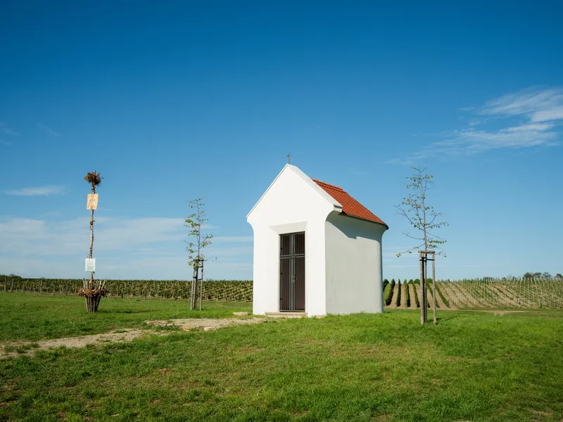 Tour de burčák po vinařských stezkách Znojemska