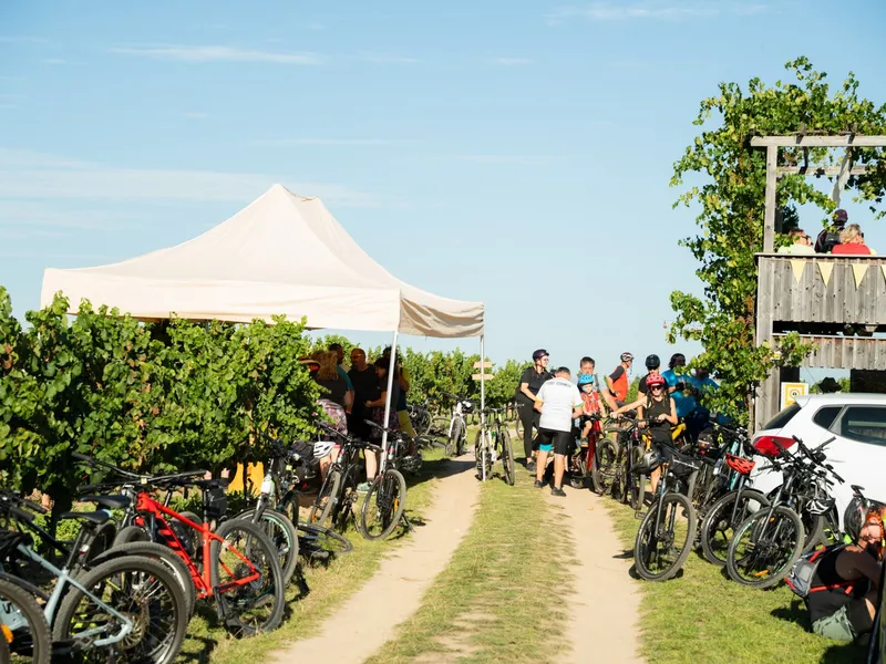 Tour de burčák po vinařských stezkách Znojemska