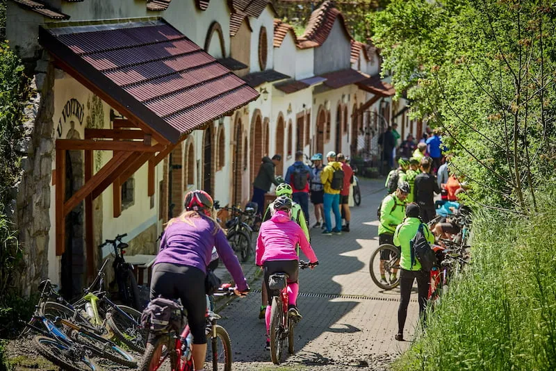 Na Slovácku vzniká nová vinařská stezka. Kudlovická vás zavede mezi malé vinohrady