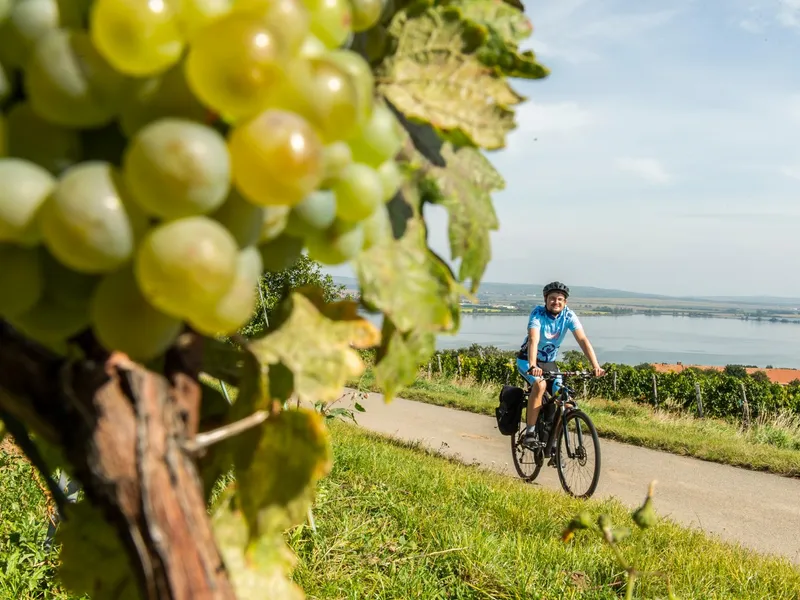 Na kole a pěšky za vůní Pálavy