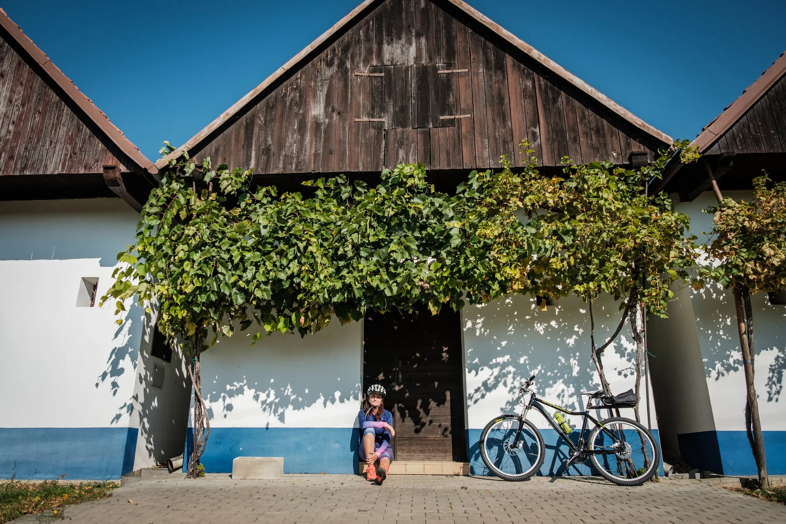 Tour de burčák po vinařských stezkách Kyjovska