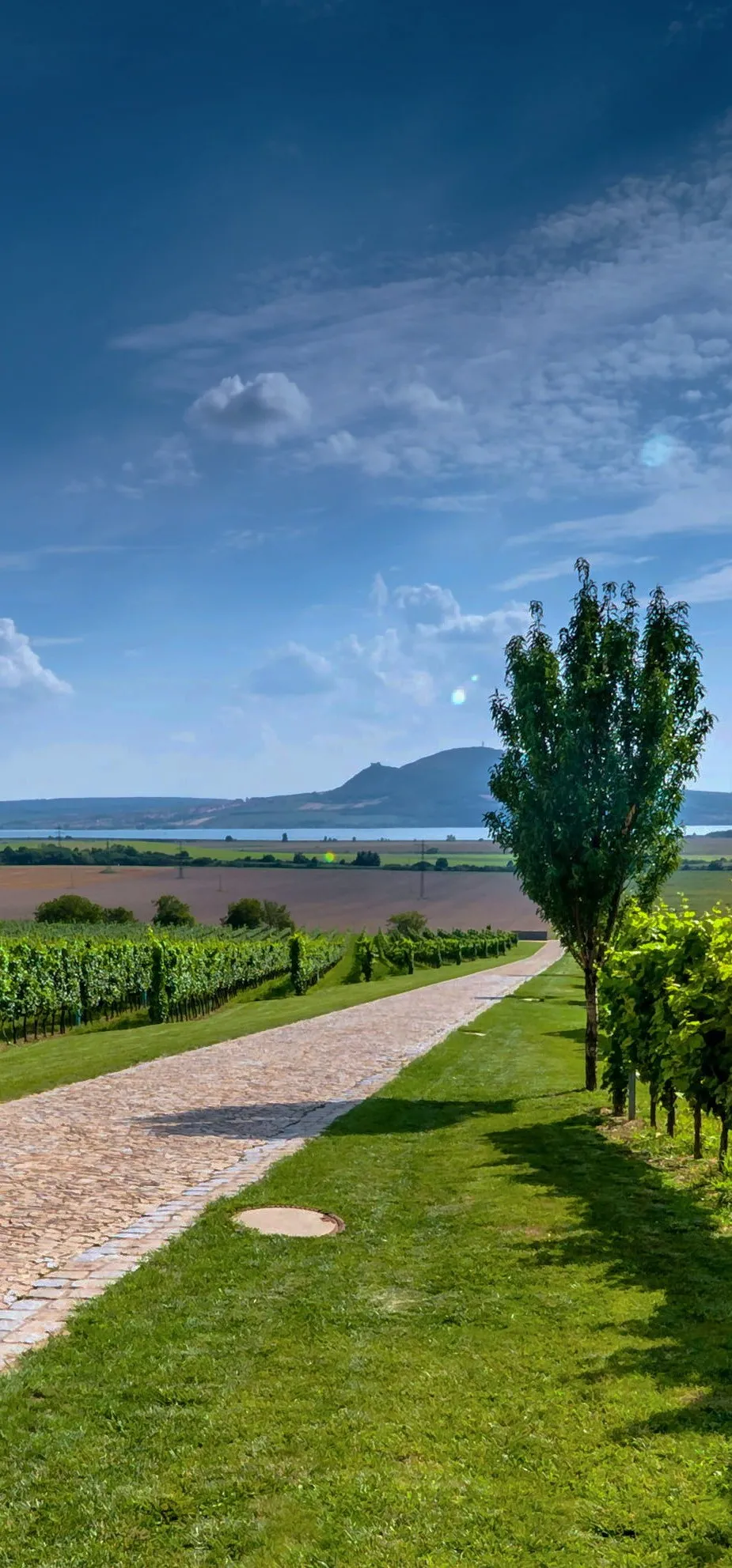 Provedeme Vás sady a vinicemi jižní Moravy