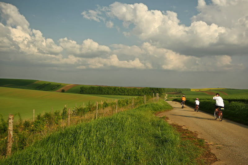 Vinařská naučná stezka (Malebné Slovácko)